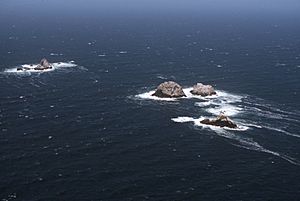 North Farallon Islands