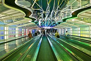 Ohare Neon Walkway