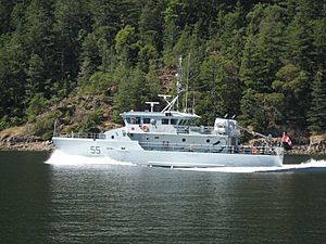 Orca55gulfislands