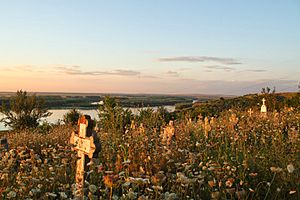 Overgrown cemetery overlooking the Danube (2)