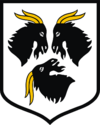 Coat of arms of Kędzierzyn-Koźle