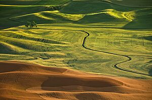 Palouse - American Tuscany