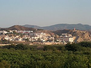 Panorámica de Arboleas