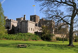 Powderham Castle, 2009