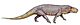 Prestosuchus11DB.jpg