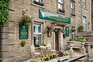 Pub bullshead Hawes 177