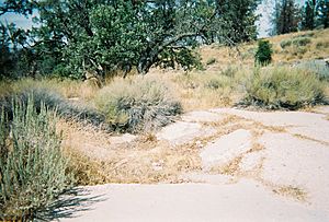 Ridge Route Sandberg Inn damage