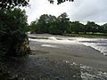 River Dart Weir at Totnes