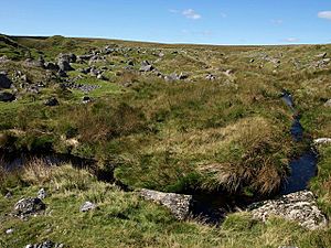 River Erme below Erme Pits - geograph.org.uk - 1485042