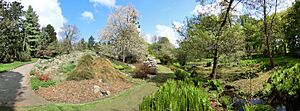 Rostock Botanischer Garten 1