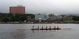 Rowers at the Regatta.jpg