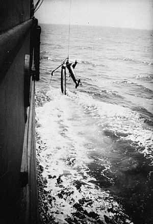 SS Port Chalmers Paravane