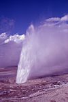 Spasm Geyser-Marler1961.jpg