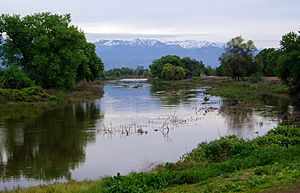 St. Johns River Visalia