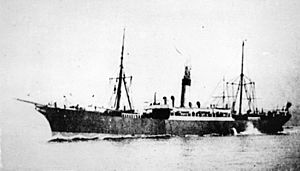 StateLibQld 1 117612 Marloo (ship)