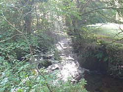 Sun streaming onto the River Rhaeadr - geograph.org.uk - 978345.jpg