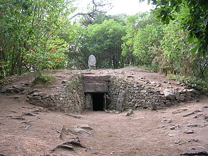 Tumulus de Kercado 2005 02