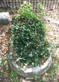 William P. Halliday Grave