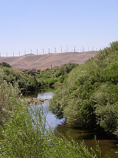 Wind-Turbines-over-Walla-Walla-Rvr