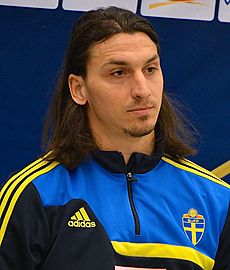 Zlatan Ibrahimović-6