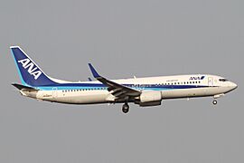 ANA B737-800(JA58AN) (5014539203)