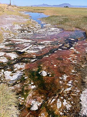 Alvord Hot Springs