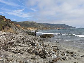 Andrew Molera State Park Beach.JPG