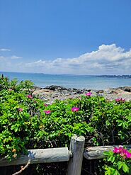 Atlantic Ocean from Marblehead Neck