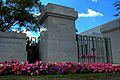 Brisbane Australia Temple entrance lined with Petunias