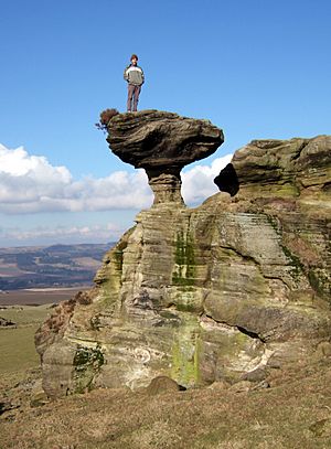 Bunnet stane2