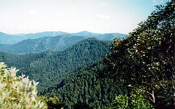 Careys Peak View.jpg