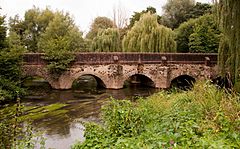 Elstead Bridge DSC 1620.jpg