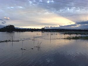 Flooded paddock in Warwick 1