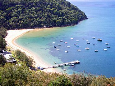 Great Mackerel Beach from southern headland.jpg