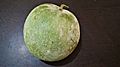 India Ash Gourd