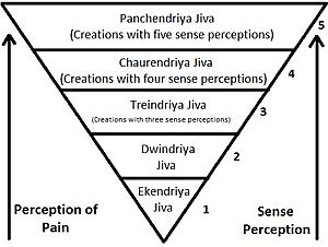 Jain Vegetarianism Illustration