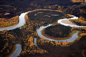 Kanuti River October 2011