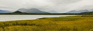 Lago Dezadeash, Yukón, Canadá, 2017-08-25, DD 83