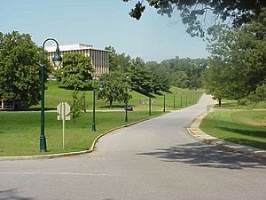 Maple Street at Spring Grove