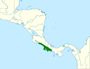 Melanerpes chrysauchen map.svg