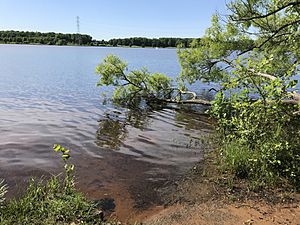 Mercer Lake Shore