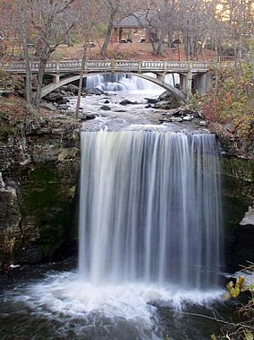 MinneopaFalls2010.jpg