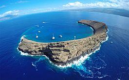 Molokini-crater-maui