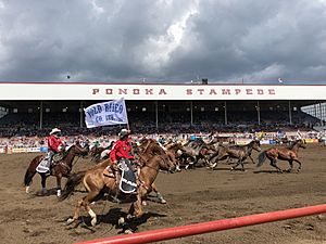 2018 Ponoka Stampede