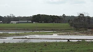 Prawn farming, Alberton, 2014