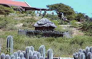 RINCON OPEN AIR MUSEUM, BONAIRE