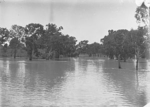 Rufus Creek(GN00338A).jpg