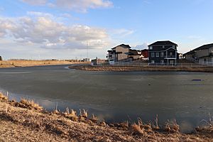 Springbrook, Alberta