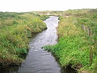 Stevenston Burn, downstream