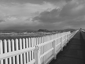 Storm Wellington Harbour